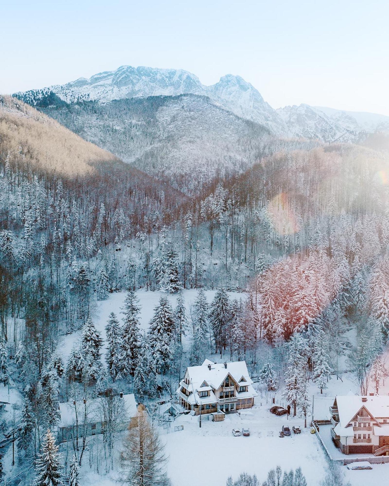 Stary Niedzwiedz Zakopane Exteriör bild